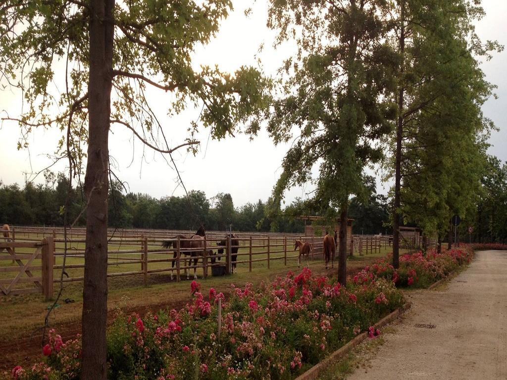 Agriturismo Il Boschetto Ornago ภายนอก รูปภาพ