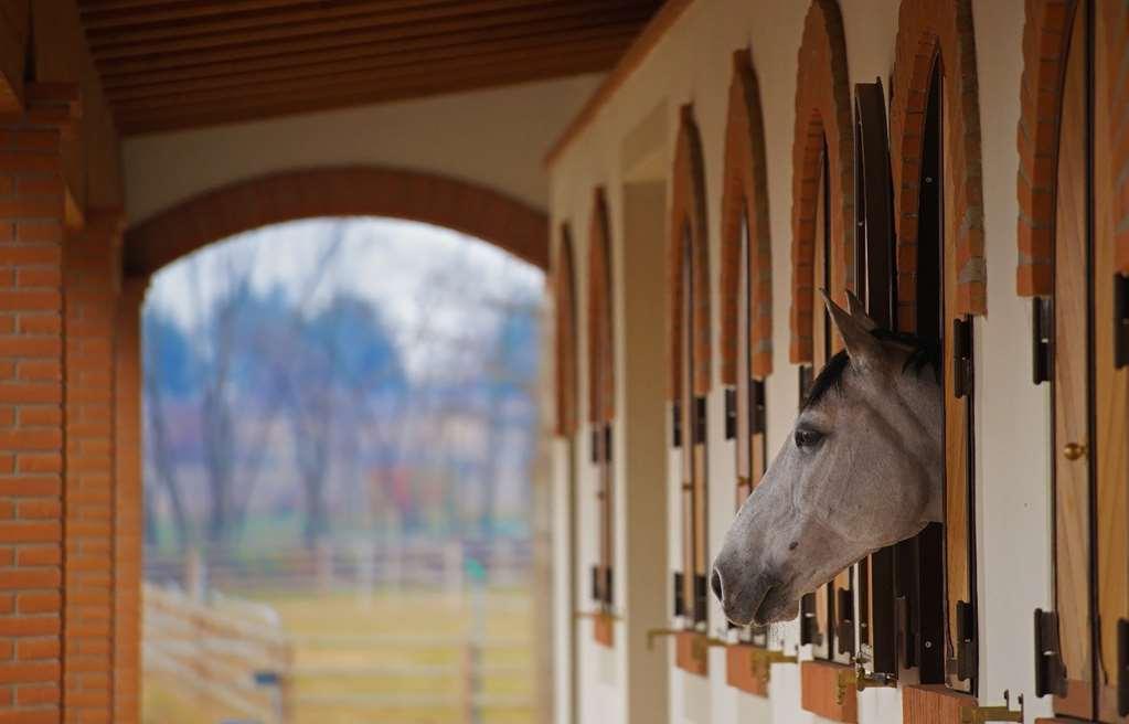 Agriturismo Il Boschetto Ornago สิ่งอำนวยความสะดวก รูปภาพ
